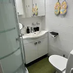 Lapland Aurora * רובניימי