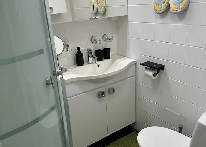 Lapland Aurora * 罗瓦涅米