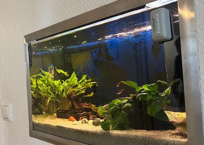 Lapland Aurora 别墅 罗瓦涅米