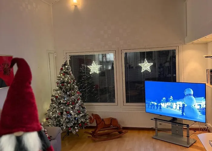 Lapland Aurora * 罗瓦涅米