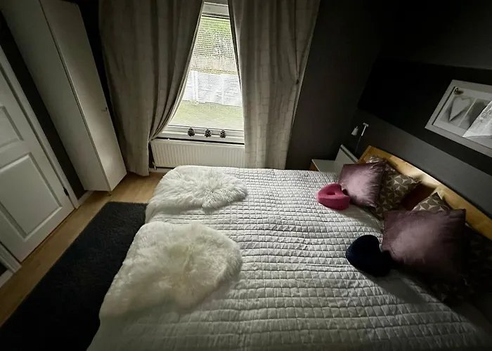 Lapland Aurora * 罗瓦涅米