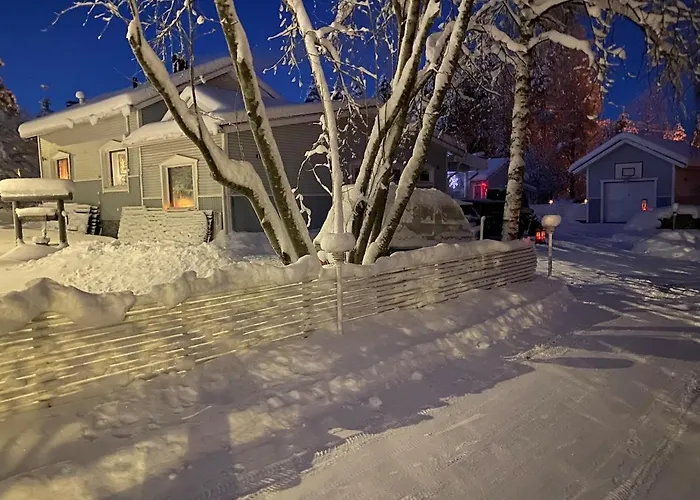 Lapland Aurora 别墅 *