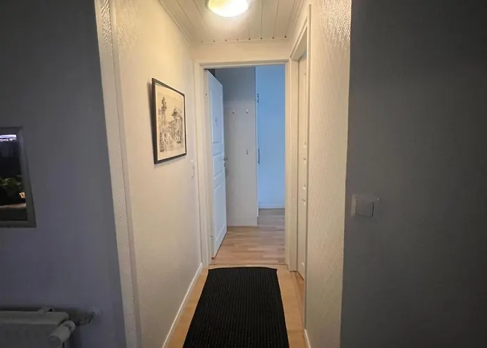 Lapland Aurora 罗瓦涅米