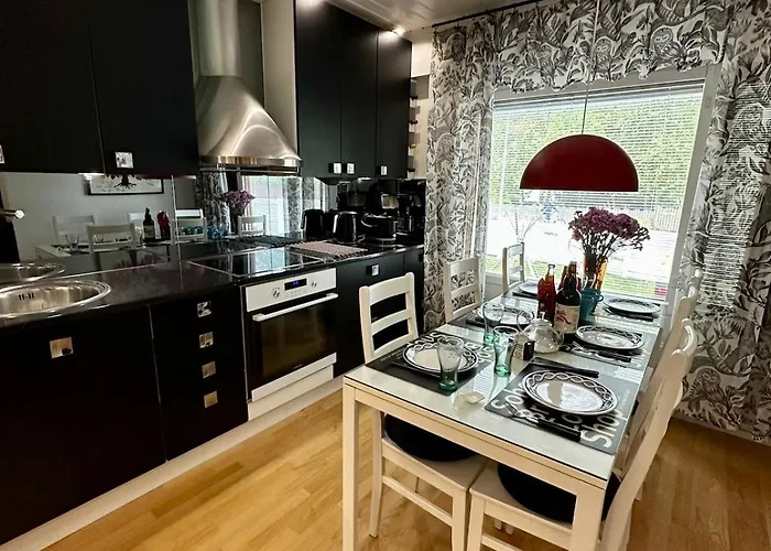 Lapland Aurora 罗瓦涅米