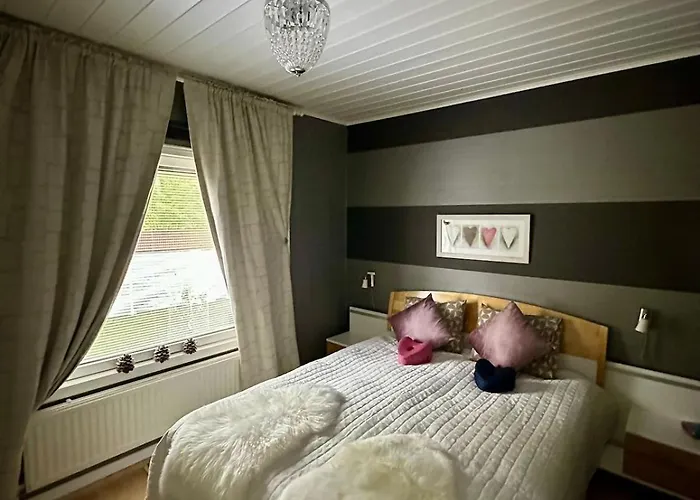 Lapland Aurora * 罗瓦涅米